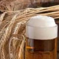 Why beer is good for health?